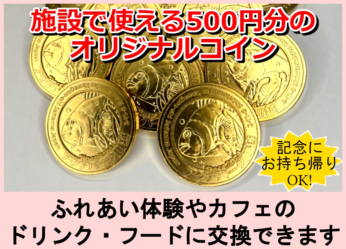 施設で使えるオリジナルコイン